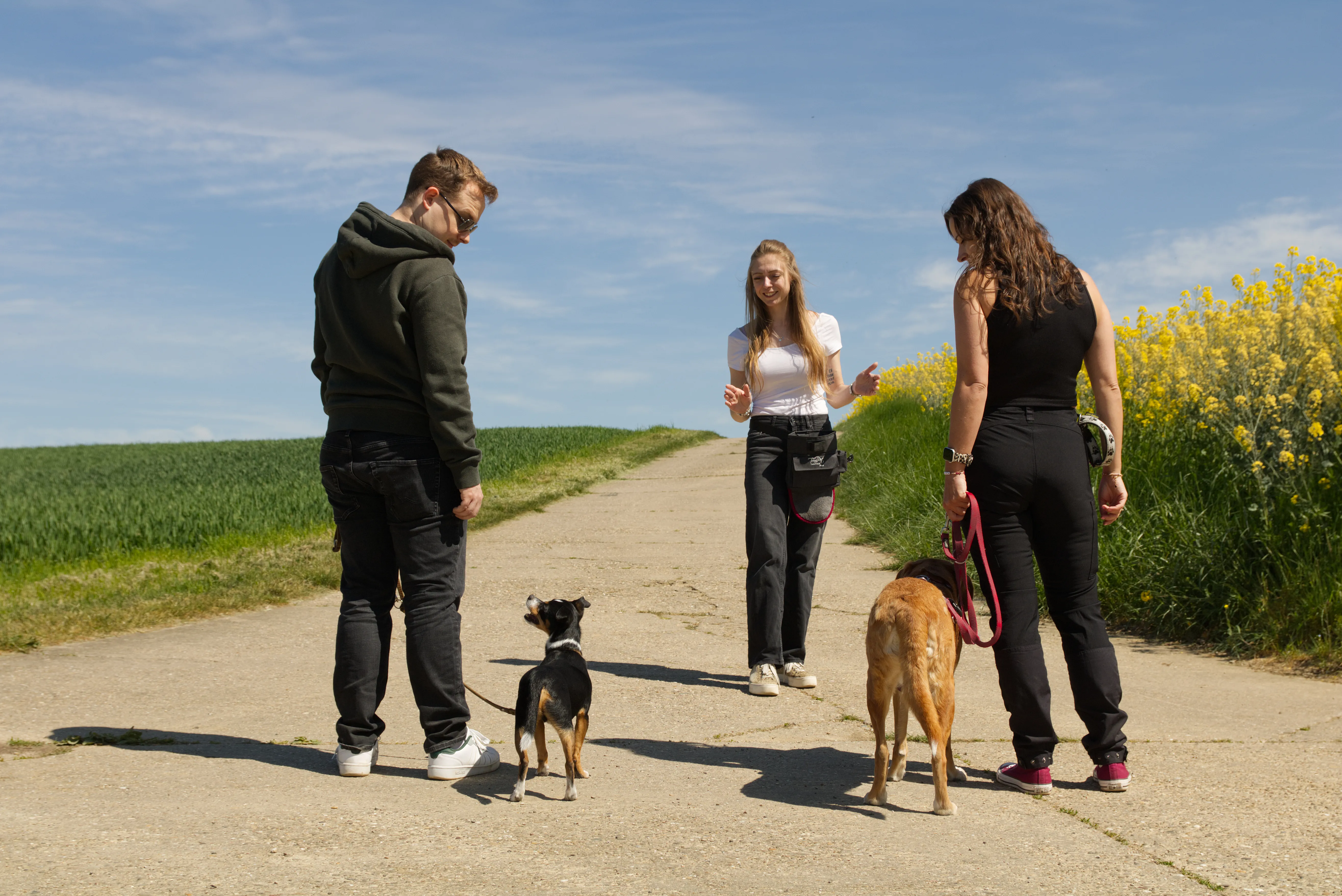 Lisa Trinkaus berät zwei Hundehalter mit ihren Hunden auf einem Feldweg im Grünen